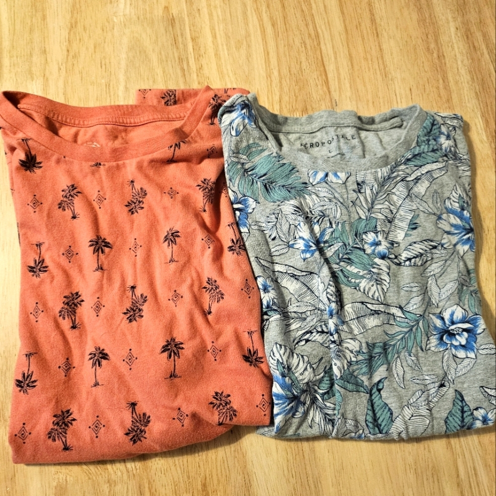 Aeropostale Men's Shirts Large